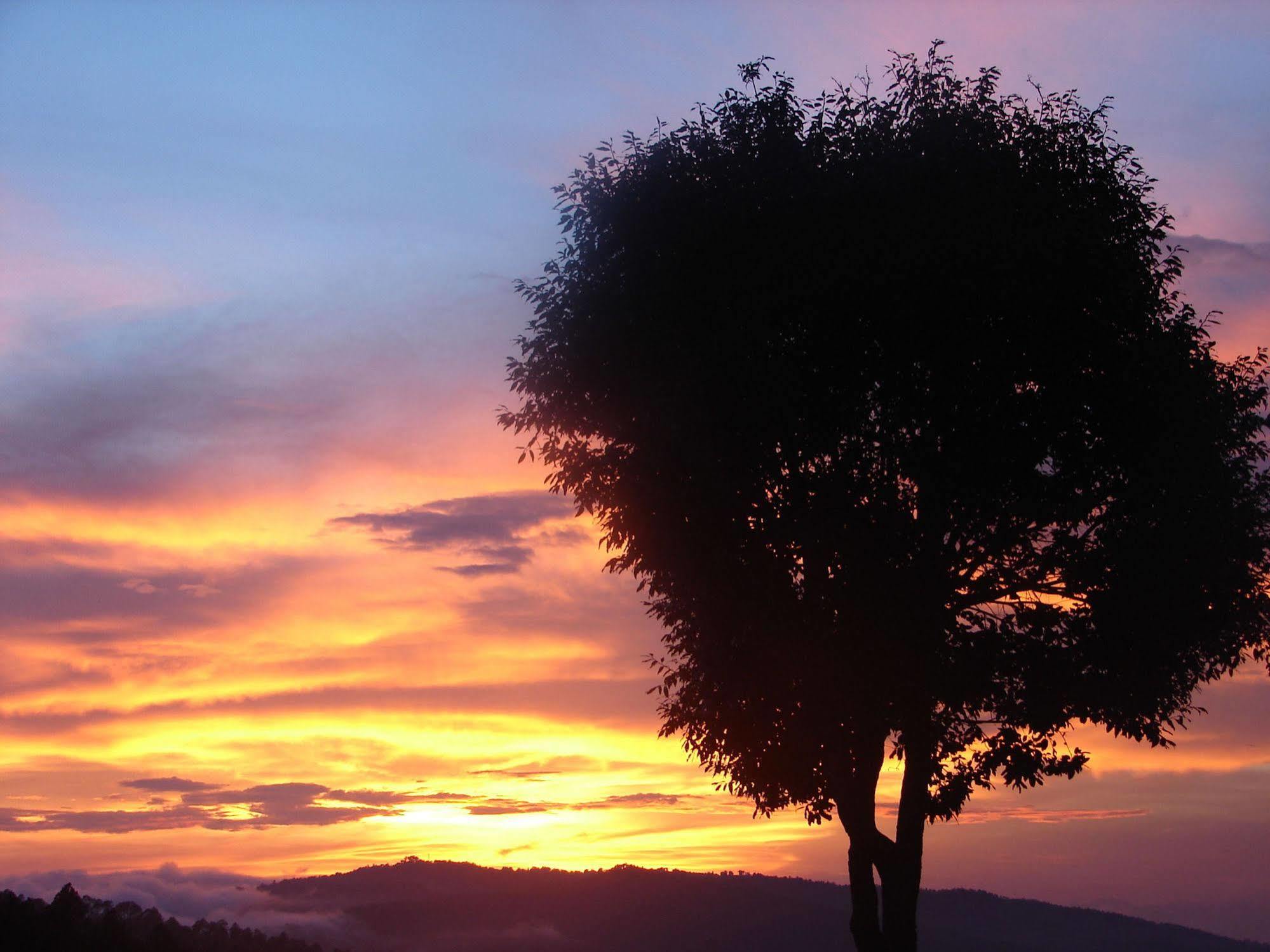Blusalzz Escapade Anant Rasa Resort - Ranikhet Shitlakhet Εξωτερικό φωτογραφία